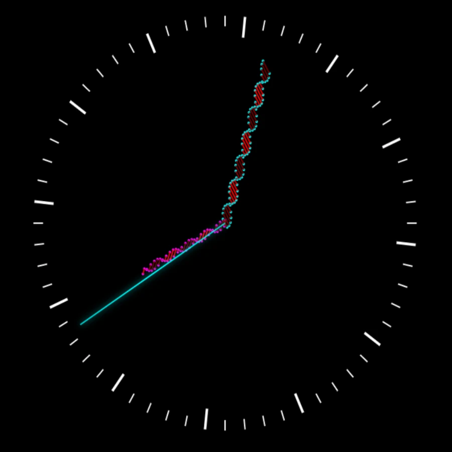 DNA Clock 1