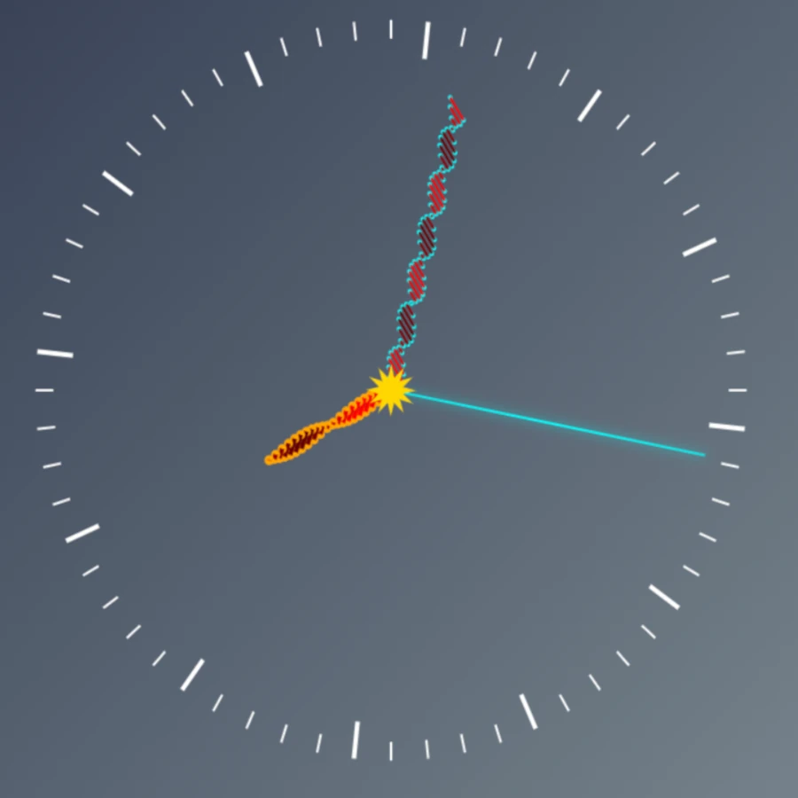 DNA Clock 2